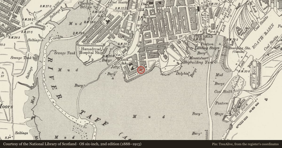 Ordnance Survey six-inch map, 2nd edition (1888–1913) covering the location of 6 Windsor Esplanade, Butetown, Cardiff, with a pin at the register's coordinates