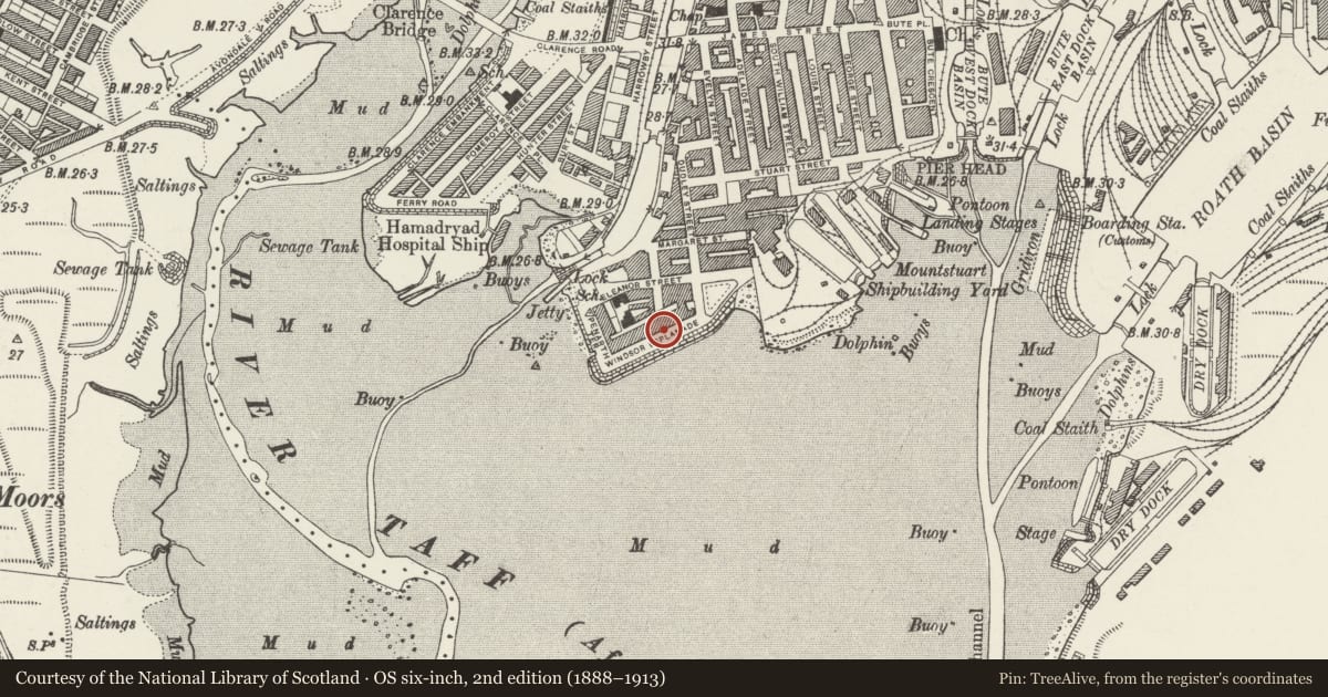 Ordnance Survey six-inch map, 2nd edition (1888–1913) covering the location of 7 Windsor Esplanade, Butetown, Cardiff, with a pin at the register's coordinates