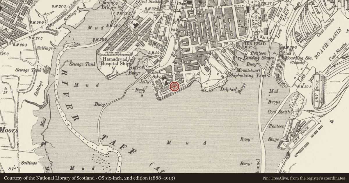 Ordnance Survey six-inch map, 2nd edition (1888–1913) covering the location of 8 Windsor Esplanade, Butetown, Cardiff, with a pin at the register's coordinates