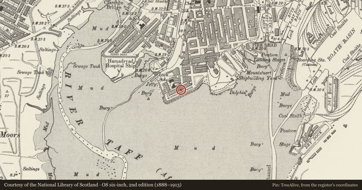Ordnance Survey six-inch map, 2nd edition (1888–1913) covering the location of 9 Windsor Esplanade, Butetown, Cardiff, with a pin at the register's coordinates