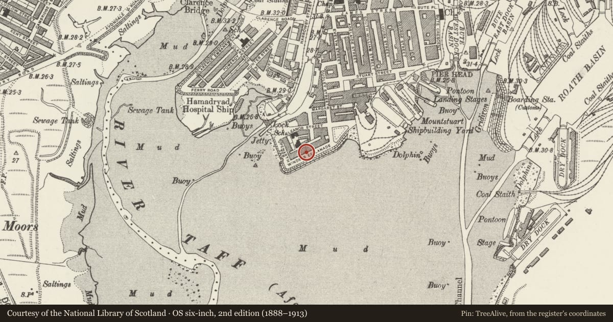 Ordnance Survey six-inch map, 2nd edition (1888–1913) covering the location of 11 Windsor Esplanade, Butetown, Cardiff, with a pin at the register's coordinates