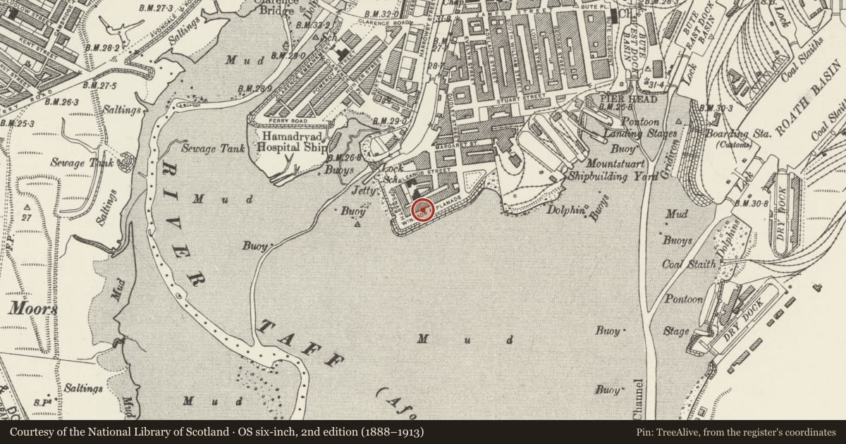 Ordnance Survey six-inch map, 2nd edition (1888–1913) covering the location of 13 Windsor Esplanade, Butetown, Cardiff, with a pin at the register's coordinates