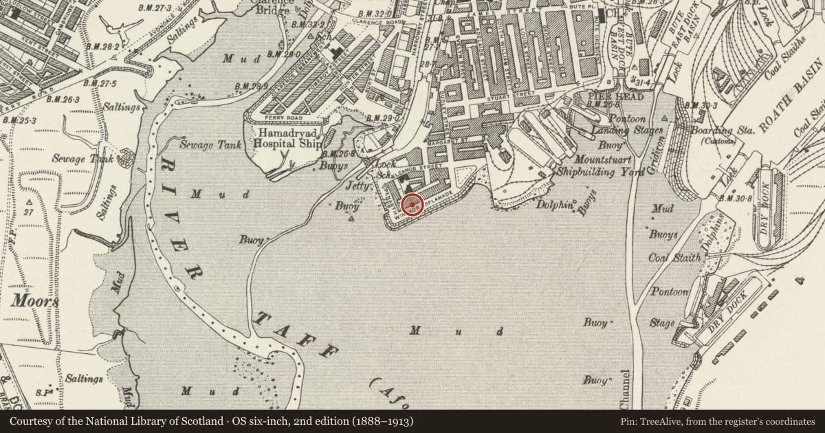 Ordnance Survey six-inch map, 2nd edition (1888–1913) covering the location of 14 Windsor Esplanade, Butetown, Cardiff, with a pin at the register's coordinates