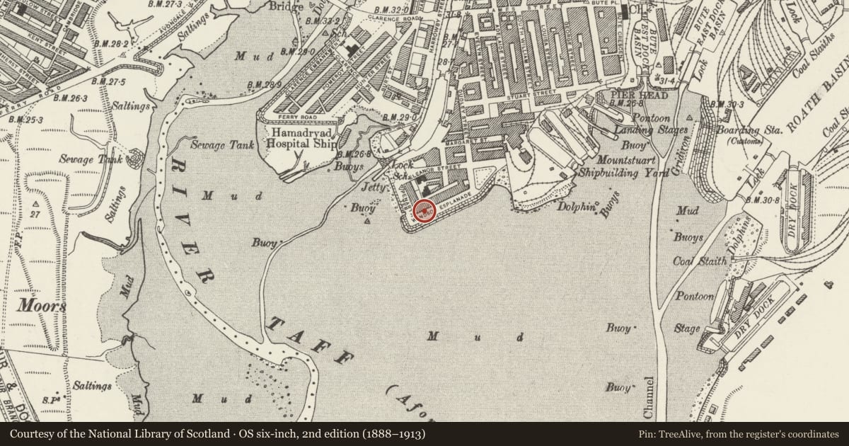 Ordnance Survey six-inch map, 2nd edition (1888–1913) covering the location of 16 Windsor Esplanade, Butetown, Cardiff, with a pin at the register's coordinates