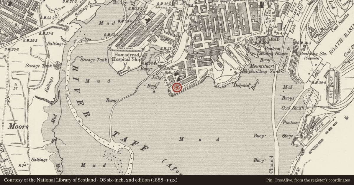 Ordnance Survey six-inch map, 2nd edition (1888–1913) covering the location of 17 Windsor Esplanade, Butetown, Cardiff, with a pin at the register's coordinates
