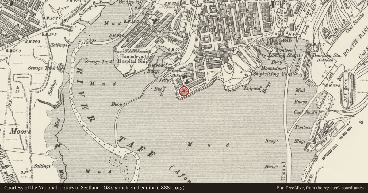 Ordnance Survey six-inch map, 2nd edition (1888–1913) covering the location of 18 Windsor Esplanade, Butetown, Cardiff, with a pin at the register's coordinates