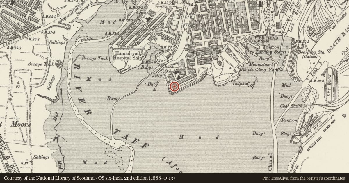 Ordnance Survey six-inch map, 2nd edition (1888–1913) covering the location of 19 Windsor Esplanade, Butetown, Cardiff, with a pin at the register's coordinates