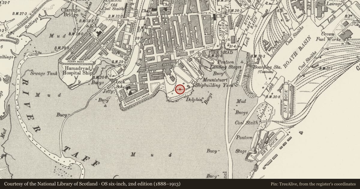 Ordnance Survey six-inch map, 2nd edition (1888–1913) covering the location of Power House at Mount Stuart Graving Docks, Butetown, Cardiff, with a pin at the register's coordinates