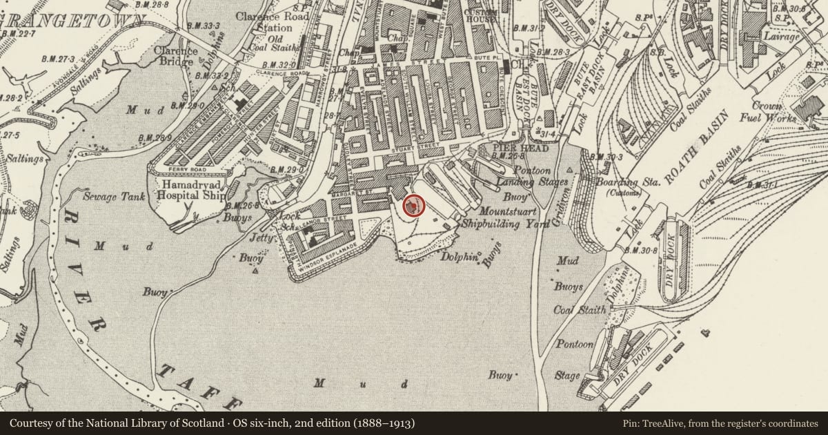 Ordnance Survey six-inch map, 2nd edition (1888–1913) covering the location of Mount Stuart Graving Dock No.3, Butetown, Cardiff, with a pin at the register's coordinates