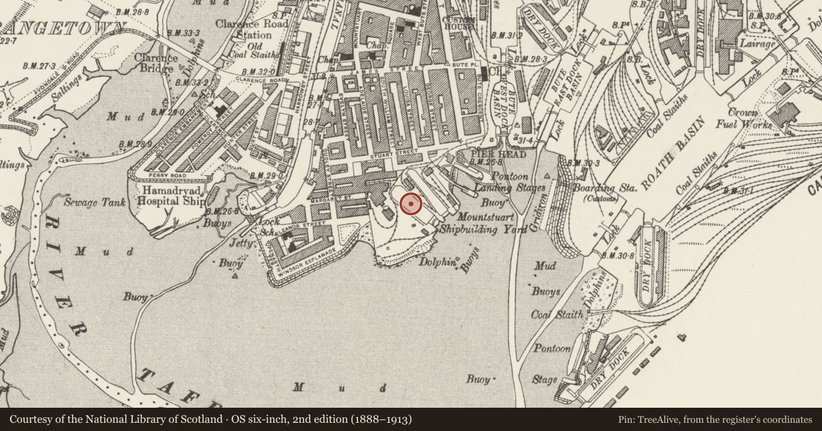 Ordnance Survey six-inch map, 2nd edition (1888–1913) covering the location of Mount Stuart Graving Dock No.2, Butetown, Cardiff, with a pin at the register's coordinates