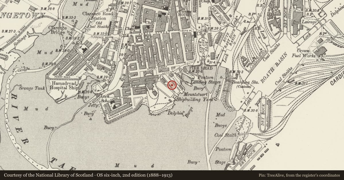 Ordnance Survey six-inch map, 2nd edition (1888–1913) covering the location of Mount Stuart Graving Dock No.1, Butetown, Cardiff, with a pin at the register's coordinates