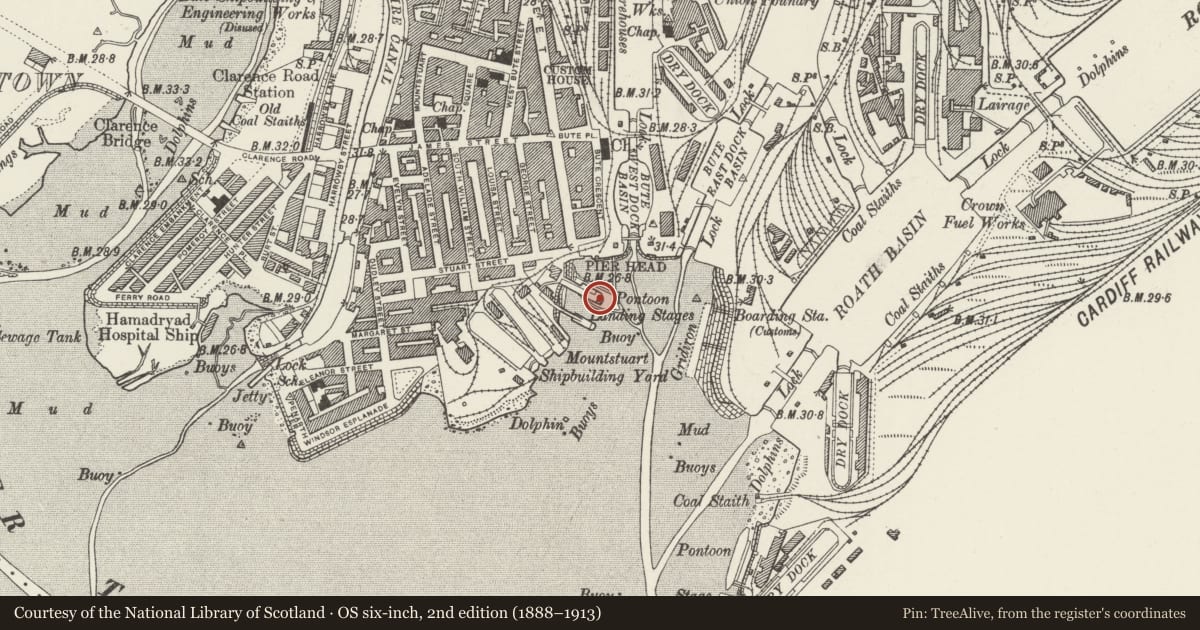 Ordnance Survey six-inch map, 2nd edition (1888–1913) covering the location of Signal Platform in Bay, Butetown, Cardiff, with a pin at the register's coordinates