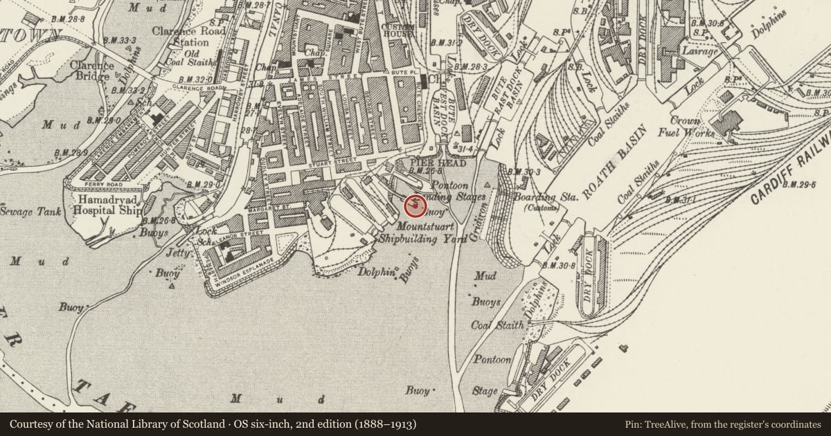 Ordnance Survey six-inch map, 2nd edition (1888–1913) covering the location of Signal Platform in Bay, Butetown, Cardiff, with a pin at the register's coordinates