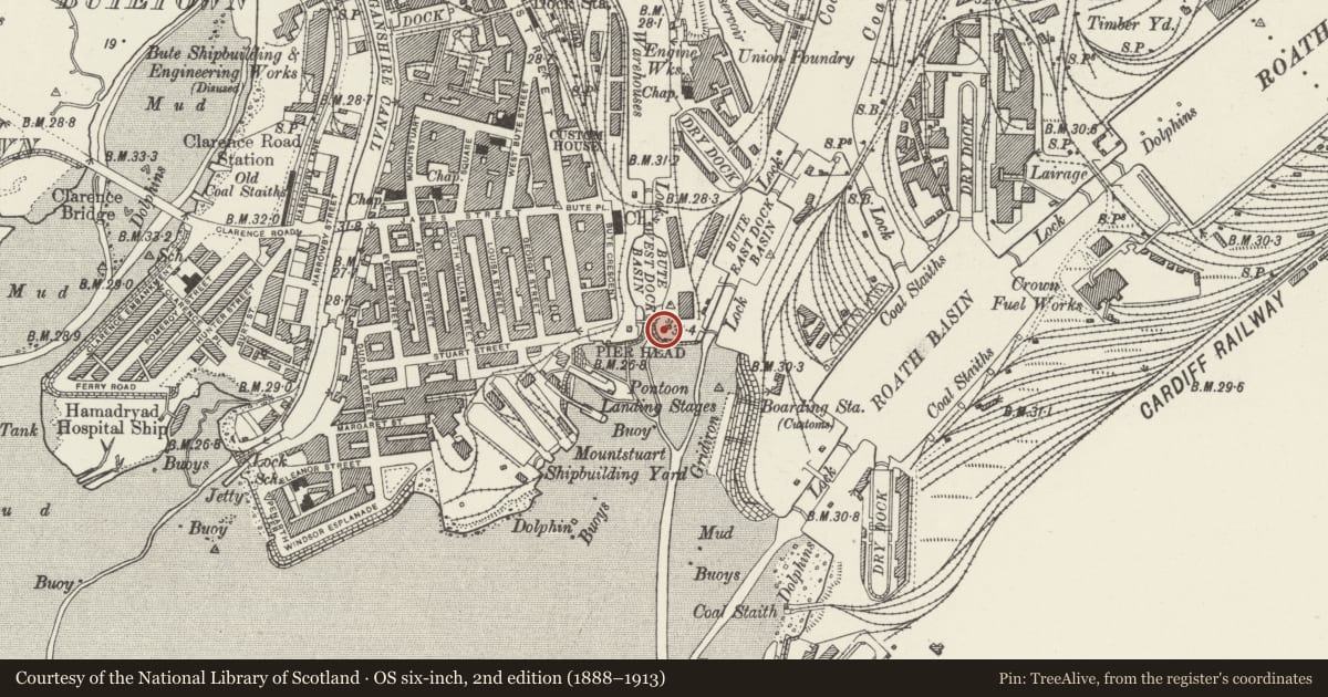 Ordnance Survey six-inch map, 2nd edition (1888–1913) covering the location of One of a Pair of Navigation Lamps to E of Bute West Dock Basin, Butetown, Cardiff, with a pin at the register's coordinates