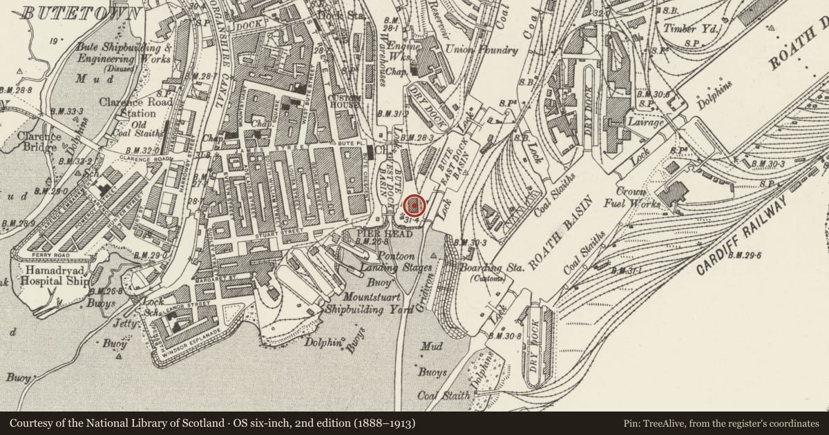 Ordnance Survey six-inch map, 2nd edition (1888–1913) covering the location of Pier Head Building, Butetown, Cardiff, with a pin at the register's coordinates