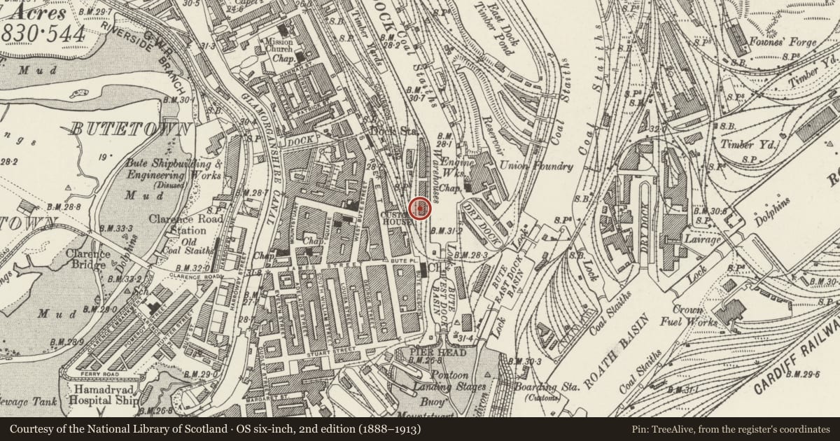 Ordnance Survey six-inch map, 2nd edition (1888–1913) covering the location of Former Warehouse (The "D" Shed), Butetown, Cardiff, with a pin at the register's coordinates
