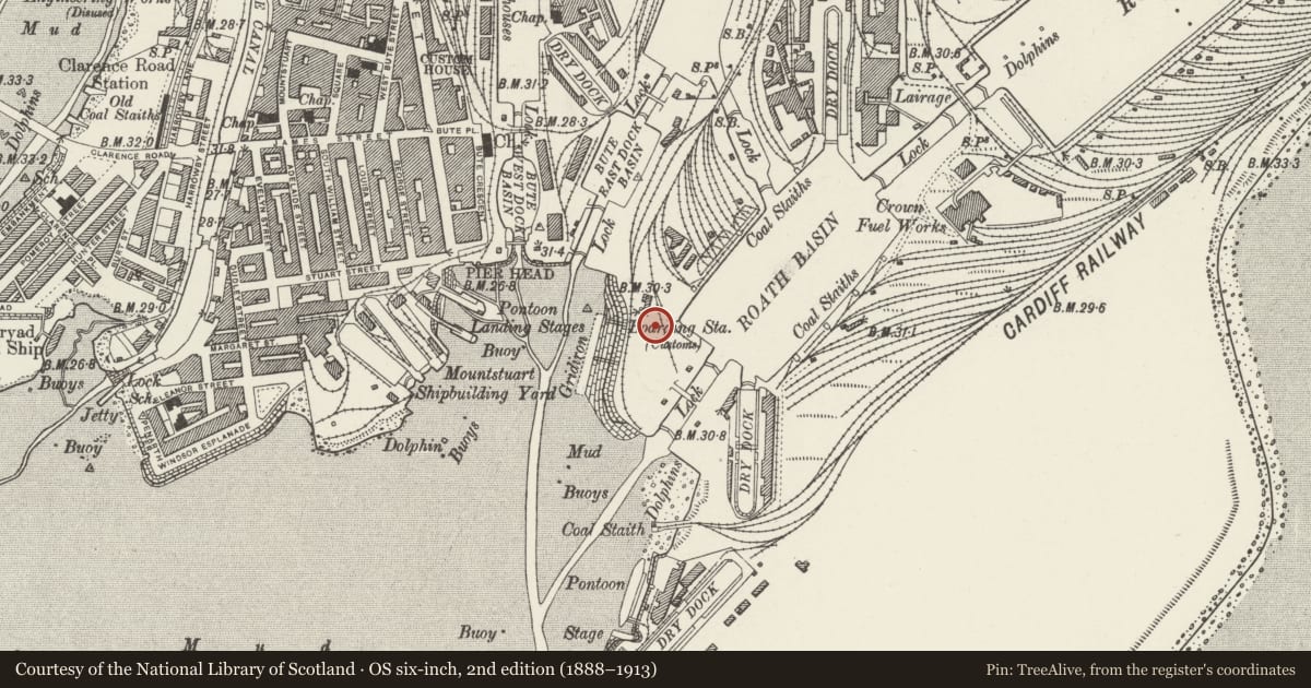 Ordnance Survey six-inch map, 2nd edition (1888–1913) covering the location of Former H.M.Customs and Excise Office, Butetown, Cardiff, with a pin at the register's coordinates