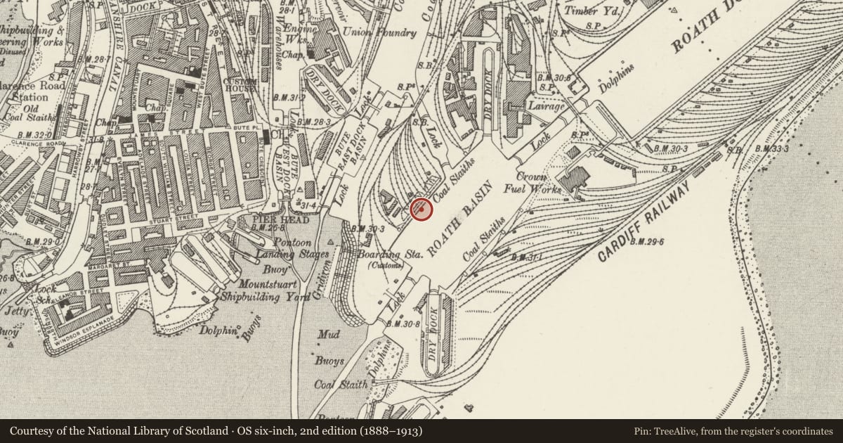 Ordnance Survey six-inch map, 2nd edition (1888–1913) covering the location of Dock Walls of Roath Basin, including Sea Walls and Sea Lock, Walls of Locks, and Dry Docks, Butetown, Cardiff, with a pin at the register's coordinates