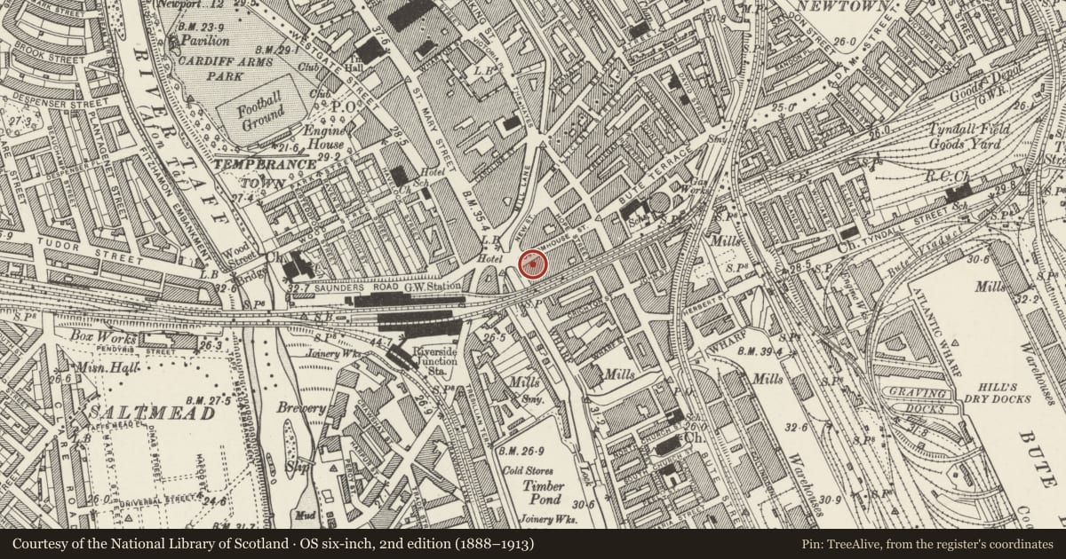 Ordnance Survey six-inch map, 2nd edition (1888–1913) covering the location of Old Custom House, Castle, Cardiff, with a pin at the register's coordinates