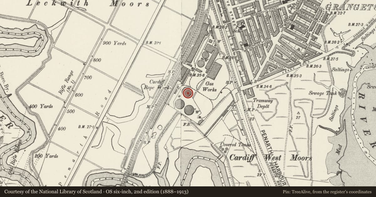 Ordnance Survey six-inch map, 2nd edition (1888–1913) covering the location of Gas Holder at British Gas Grangetown Works, Cardiff, with a pin at the register's coordinates