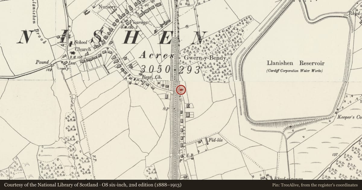 Ordnance Survey six-inch map, 2nd edition (1888–1913) covering the location of Bridge Cottage, Llanishen, Cardiff, with a pin at the register's coordinates