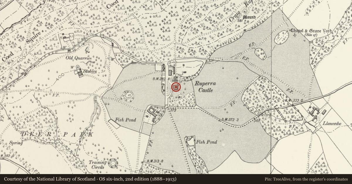 Ordnance Survey six-inch map, 2nd edition (1888–1913) covering the location of Ruperra Castle, Rudry, Caerphilly, with a pin at the register's coordinates