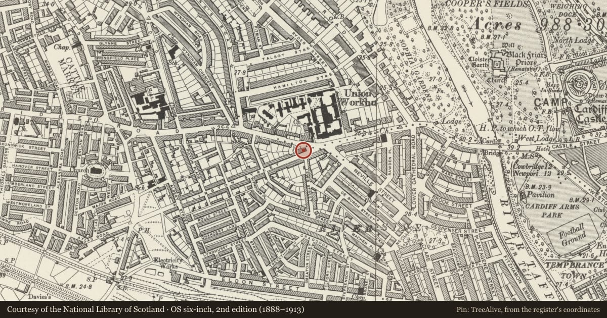 Ordnance Survey six-inch map, 2nd edition (1888–1913) covering the location of Former Wyndham Public House, Riverside, Cardiff, with a pin at the register's coordinates