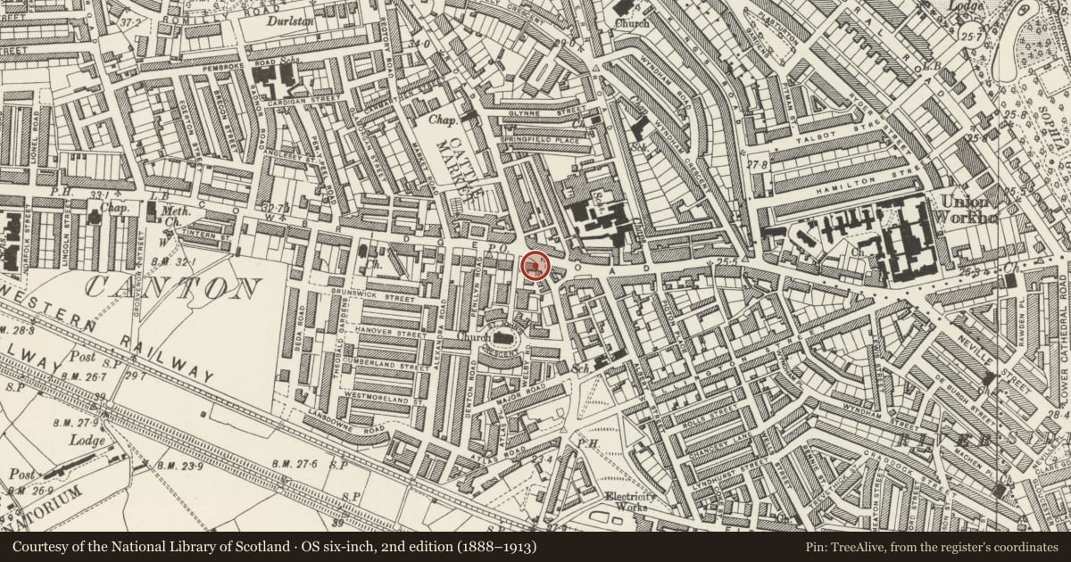 Ordnance Survey six-inch map, 2nd edition (1888–1913) covering the location of 271 Cowbridge Road East, Canton, Cardiff, with a pin at the register's coordinates