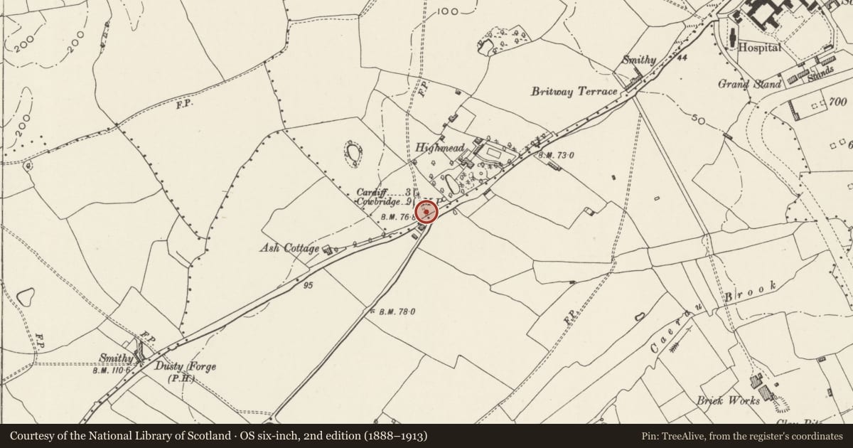 Ordnance Survey six-inch map, 2nd edition (1888–1913) covering the location of Milepost outside No 322, Ely, Cardiff, with a pin at the register's coordinates