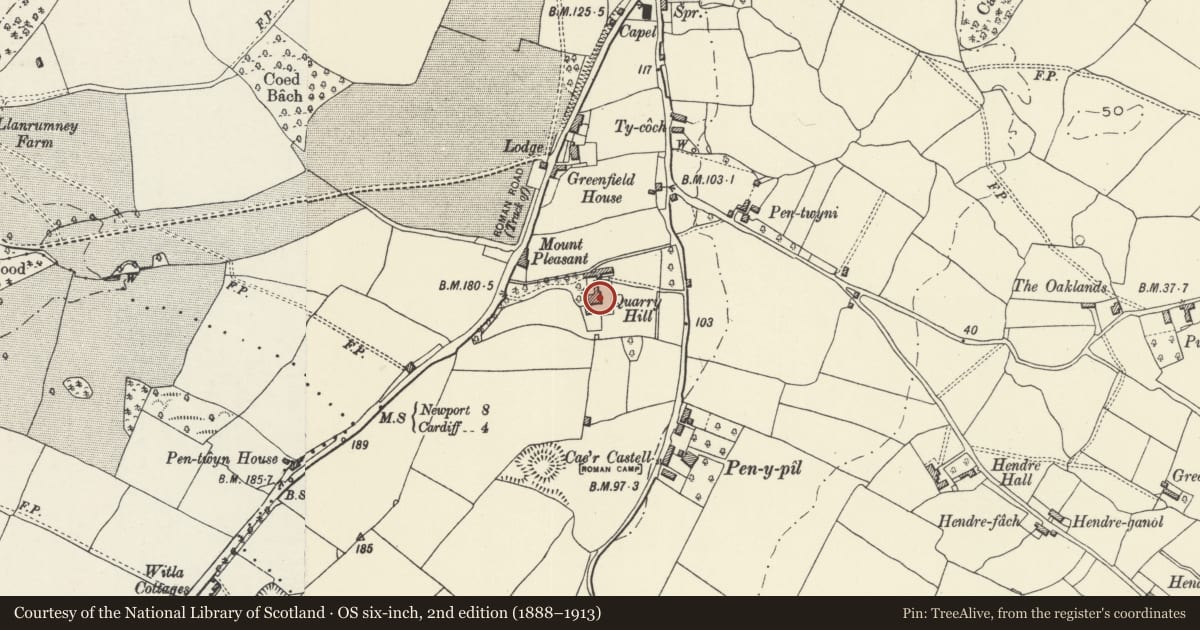 Ordnance Survey six-inch map, 2nd edition (1888–1913) covering the location of Quarry Hill House, Rumney, Cardiff, with a pin at the register's coordinates