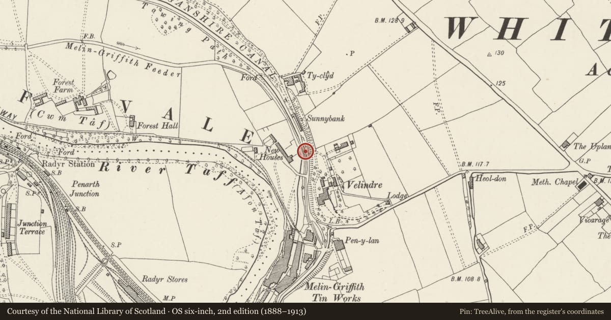 Ordnance Survey six-inch map, 2nd edition (1888–1913) covering the location of Towpath Bridge of Glamorganshire Canal about 50m north of junction with Forest Farm Road, Whitchurch, Cardiff, with a pin at the register's coordinates