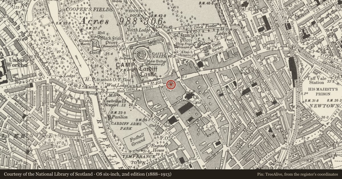 Ordnance Survey six-inch map, 2nd edition (1888–1913) covering the location of Joyland House, Castle, Cardiff, with a pin at the register's coordinates