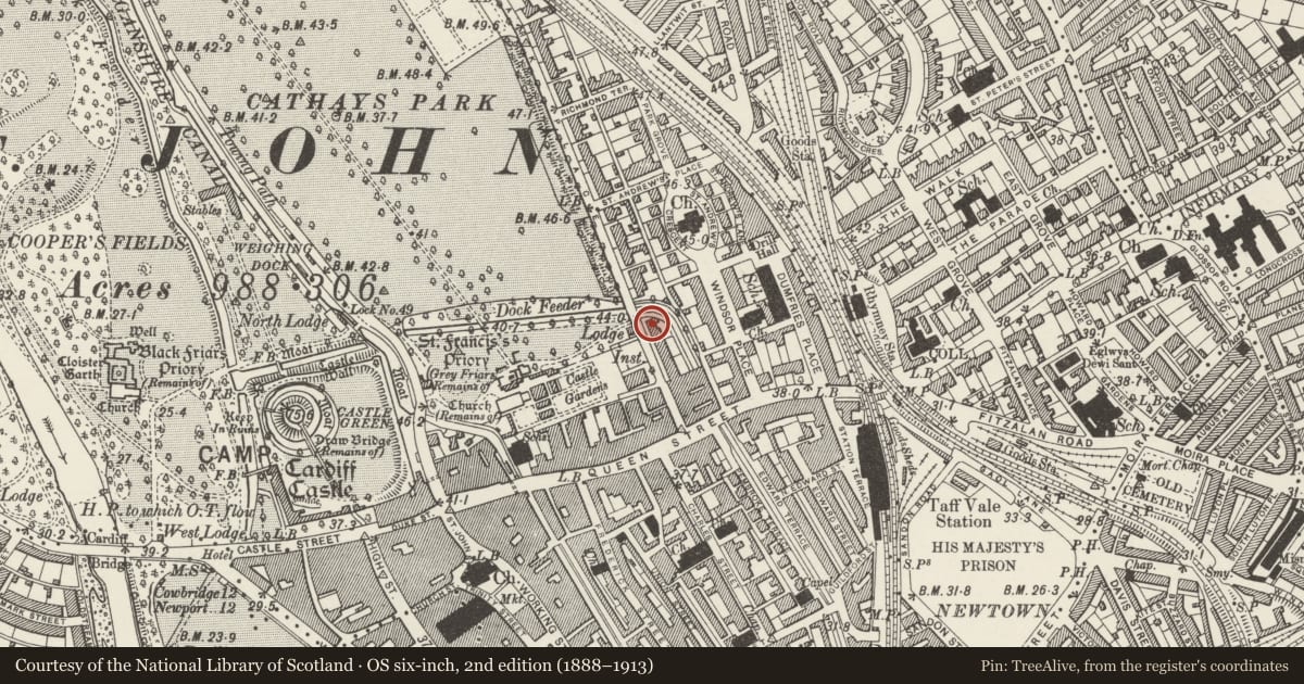 Ordnance Survey six-inch map, 2nd edition (1888–1913) covering the location of 11 Park Place, Castle, Cardiff, with a pin at the register's coordinates