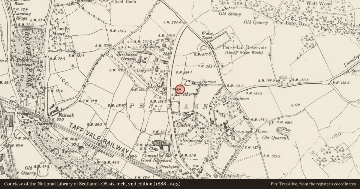 Ordnance Survey six-inch map, 2nd edition (1888–1913) covering the location of Garage, Gates & Garden Wall at White Lodge, Penylan, Cardiff, with a pin at the register's coordinates