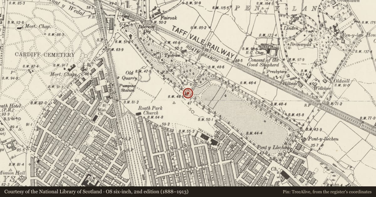 Ordnance Survey six-inch map, 2nd edition (1888–1913) covering the location of Telephone call box at junction of Ninian Road and Alder Road, Roath, Cardiff, with a pin at the register's coordinates