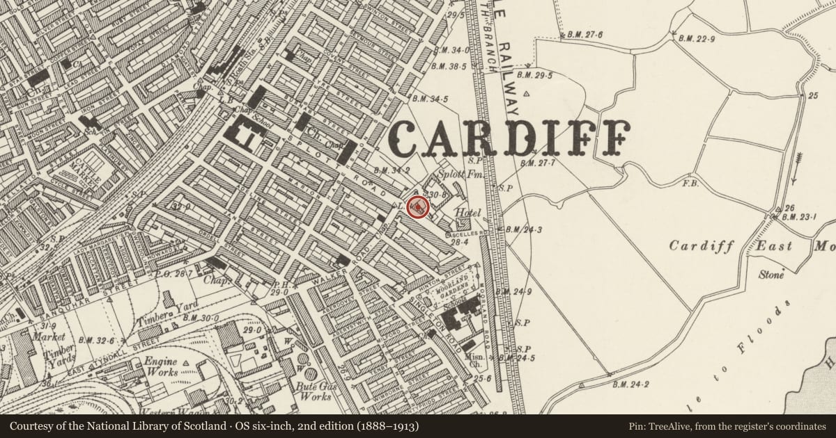 Ordnance Survey six-inch map, 2nd edition (1888–1913) covering the location of St.Saviours Vicarage (Including Cottage attached to SE) Splott Road, Cardiff, with a pin at the register's coordinates