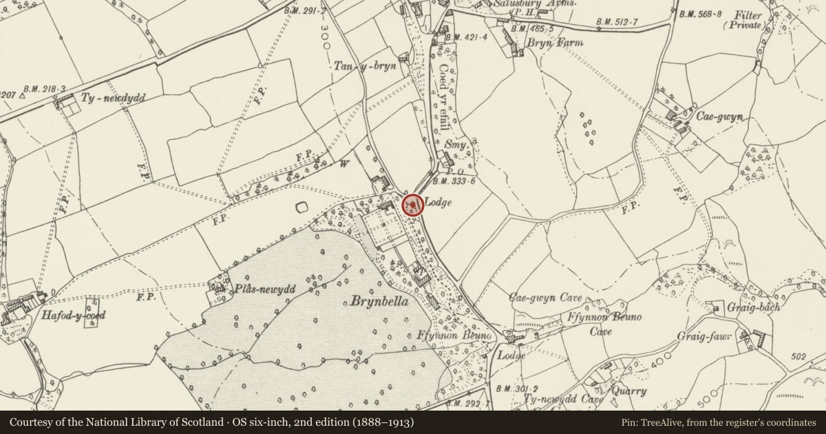 Ordnance Survey six-inch map, 2nd edition (1888–1913) covering the location of Brynbella Upper Lodge (Top Lodge) and Gates, Tremeirchion, Denbighshire, with a pin at the register's coordinates