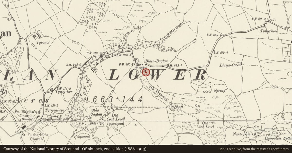 Ordnance Survey six-inch map, 2nd edition (1888–1913) covering the location of Blaen Baglan, Neath Port Talbot, with a pin at the register's coordinates