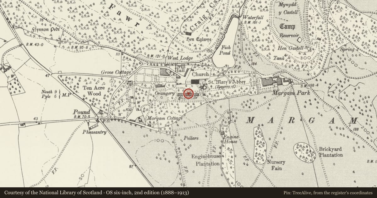 Ordnance Survey six-inch map, 2nd edition (1888–1913) covering the location of Margam Orangery, Neath Port Talbot, with a pin at the register's coordinates