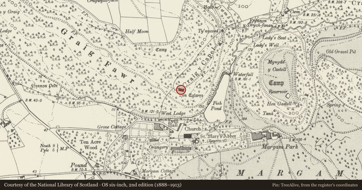 Ordnance Survey six-inch map, 2nd edition (1888–1913) covering the location of Hen Eglwys, Margam, Neath Port Talbot, with a pin at the register's coordinates