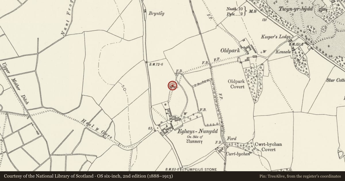 Ordnance Survey six-inch map, 2nd edition (1888–1913) covering the location of Barn at Eglwys Nunydd, Margam, Neath Port Talbot, with a pin at the register's coordinates