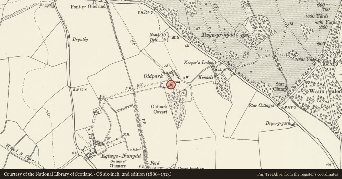 Ordnance Survey six-inch map, 2nd edition (1888–1913) covering the location of Old Park, Margam, Neath Port Talbot, with a pin at the register's coordinates