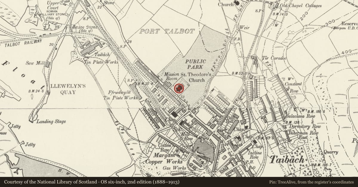 Ordnance Survey six-inch map, 2nd edition (1888–1913) covering the location of Church of St Theodore, Port Talbot, Neath Port Talbot, with a pin at the register's coordinates