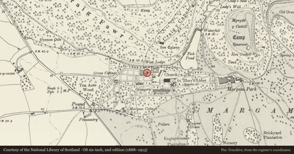 Ordnance Survey six-inch map, 2nd edition (1888–1913) covering the location of Kitchen Garden Walls including Vinery Glasshouse, Margam, Neath Port Talbot, with a pin at the register's coordinates