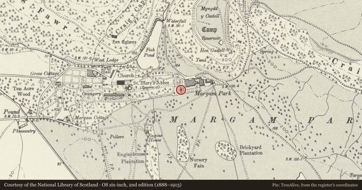 Ordnance Survey six-inch map, 2nd edition (1888–1913) covering the location of Terrace Walls and Screen at Margam Castle, Neath Port Talbot, with a pin at the register's coordinates