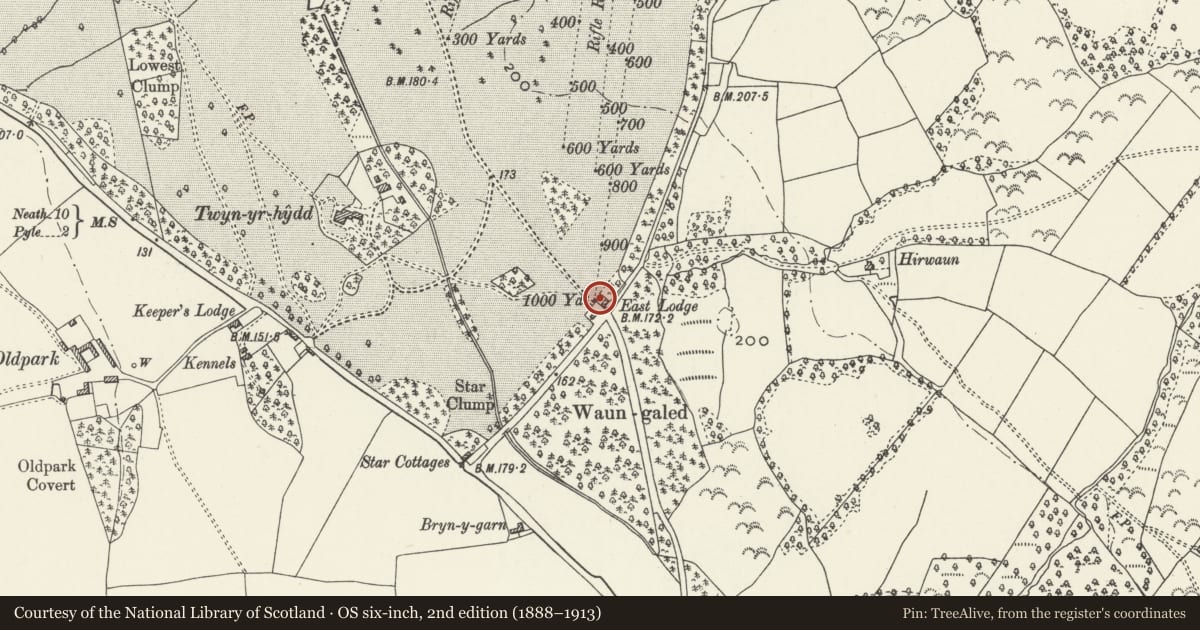 Ordnance Survey six-inch map, 2nd edition (1888–1913) covering the location of Piers and Gates at East Lodge and Flanking Walls, Margam, Neath Port Talbot, with a pin at the register's coordinates
