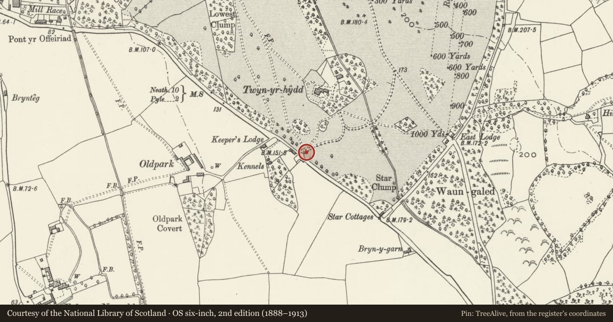 Ordnance Survey six-inch map, 2nd edition (1888–1913) covering the location of Gateway and Quadrant Walls Leading to Twyn yr Hydd, Margam, Neath Port Talbot, with a pin at the register's coordinates