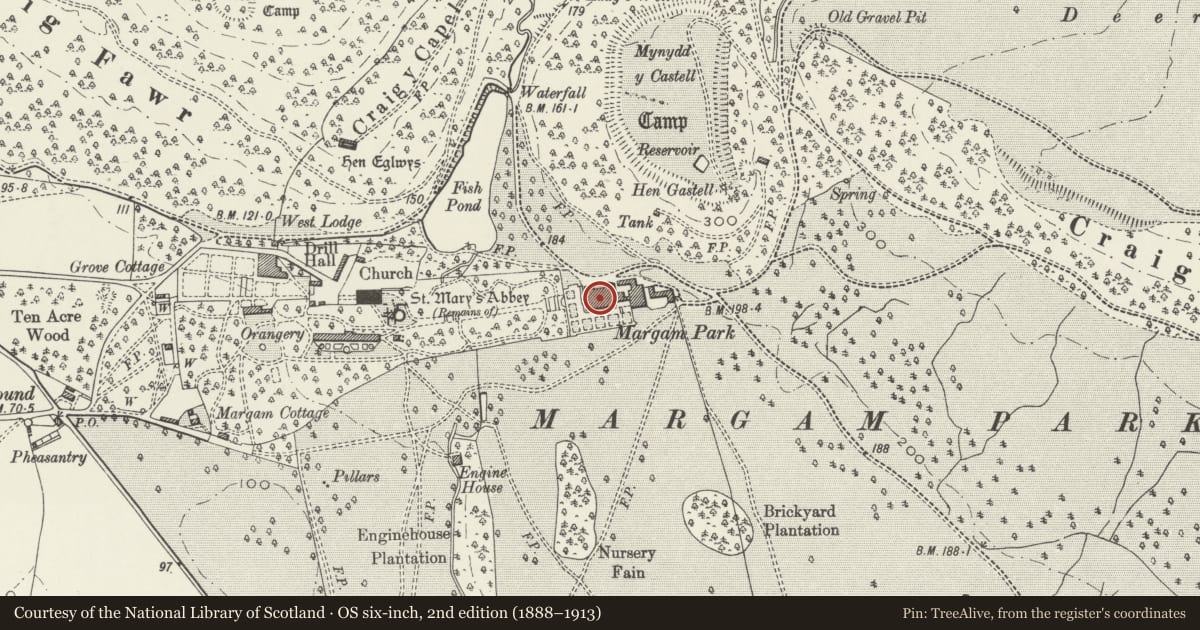 Ordnance Survey six-inch map, 2nd edition (1888–1913) covering the location of Margam Castle, Neath Port Talbot, with a pin at the register's coordinates