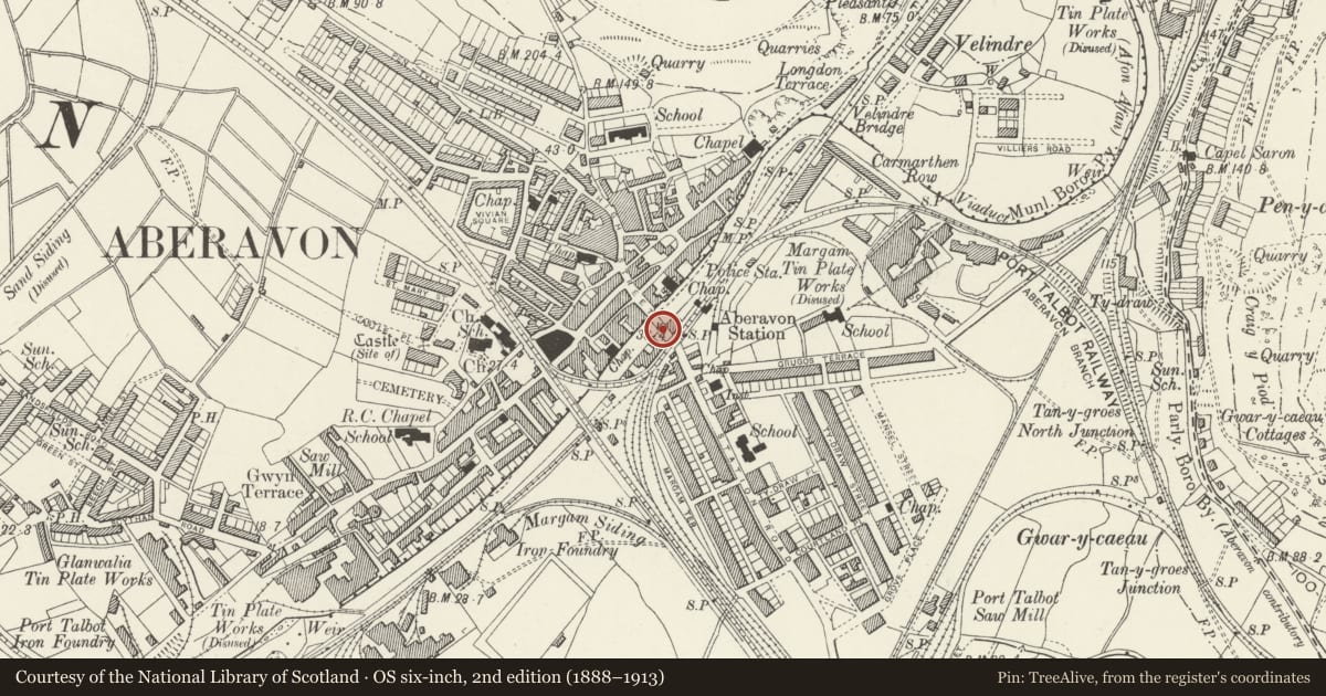 Ordnance Survey six-inch map, 2nd edition (1888–1913) covering the location of Aberavon Bridge (partly in Aberavon community), Port Talbot, Neath Port Talbot, with a pin at the register's coordinates