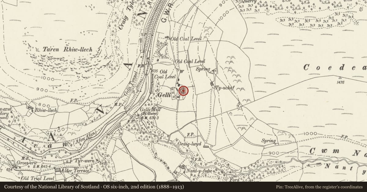 Ordnance Survey six-inch map, 2nd edition (1888–1913) covering the location of Gelli Farm, Glyncorrwg, Neath Port Talbot, with a pin at the register's coordinates